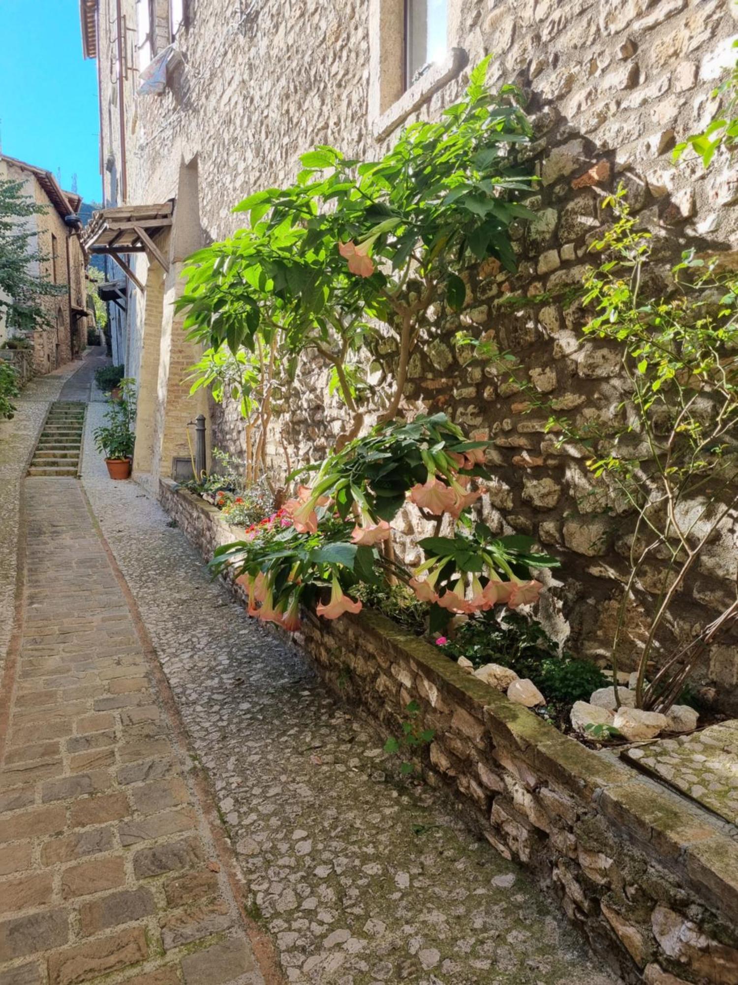 Cuore Del Castello Arrone Экстерьер фото